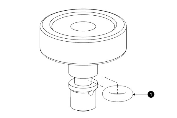 CONJUNTO PISTON REGULADOR LLAMA PILOTO